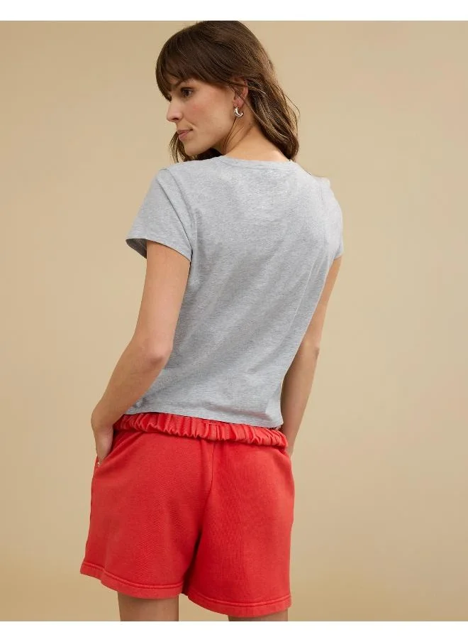 آري من امريكان ايجل Aerie Vintage Graphic Tee
