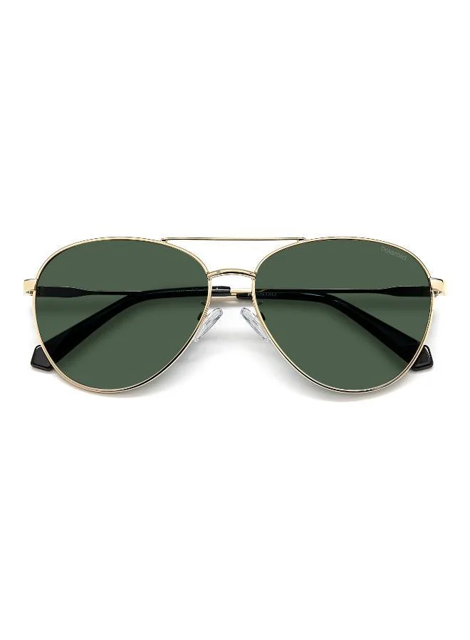 بولارويد Aviators Sunglasses