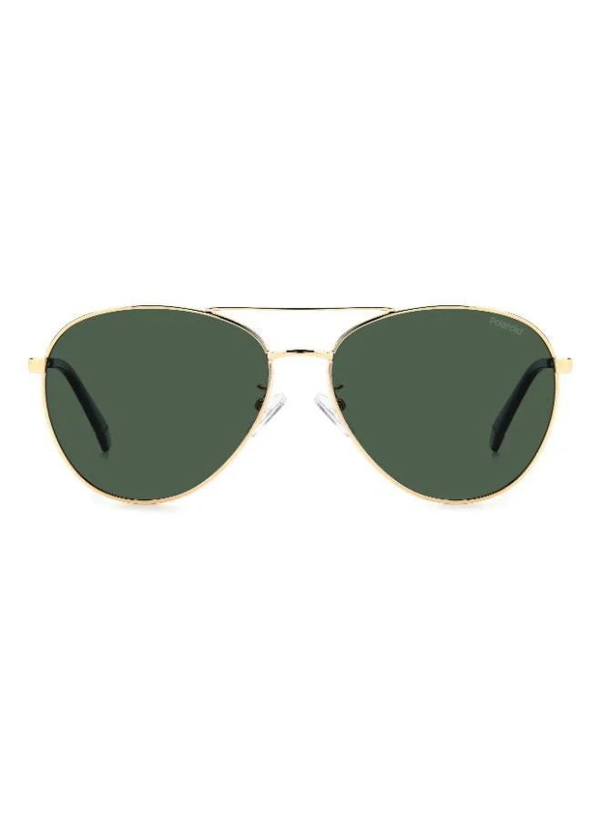 بولارويد Aviators Sunglasses