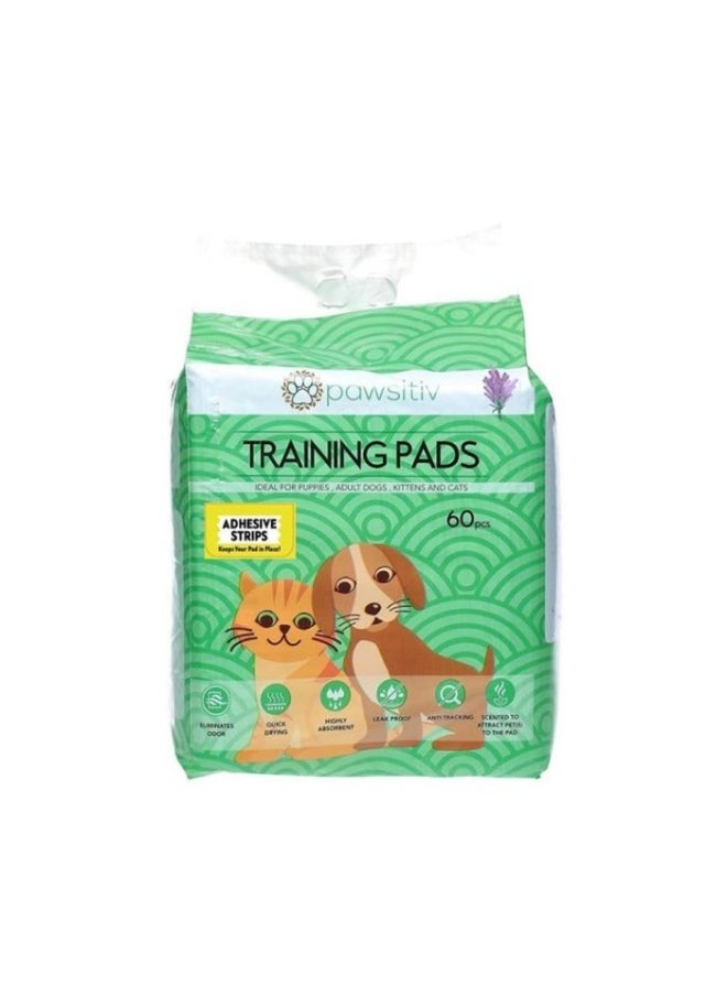 Pawsitiv - Pawsitiv Training Pads 60Pcs Unscented - Image 1
