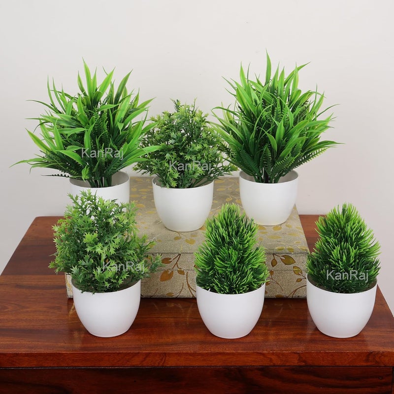 KanRaj Set of 6 Bonsai Wild Artificial Plant with Pot Multicoloured 6 Pieces Artificial Plants for Home Decor Best Different Types of Decorative Plants Artificial Flowers with Pot