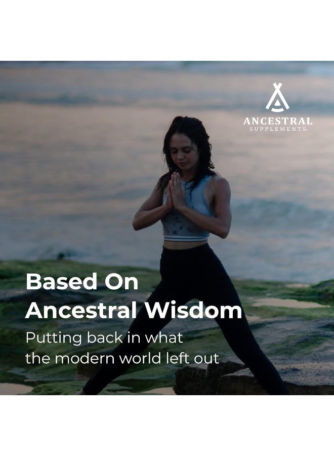 Ancestral Supplements Grass Fed Bone And Marrow Extract (Cartilage, Collagen) - Image 5