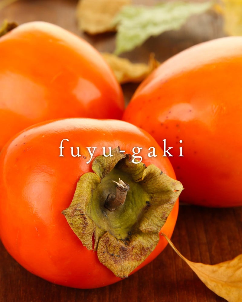 Pilot Iroshizuku Fountain Pen Ink - 50 ml Bottle - Fuyu-gaki Persimmon (Vermilion Red Orange) (Japan Import) - Image 4