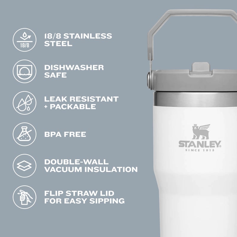 Stanley IceFlow Flip Straw Tumbler with Handle 20 oz | Twist On Lid and Flip Up Straw | Leak Resistant Water Bottle | Insulated Stainless Steel |BPA-Free | Iris - Image 4