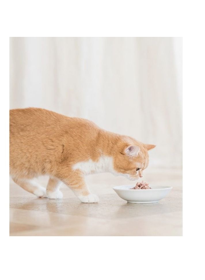 Schesir Cat Wet Food With Tuna And Pinapple in Jelly - Image 3