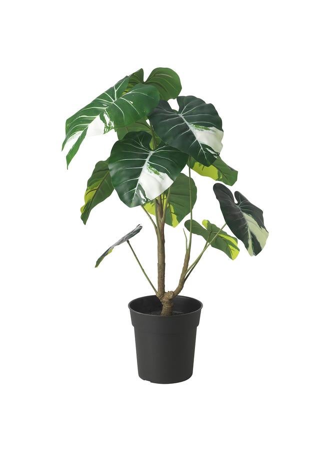 erorex Artificial Potted Plant, In/Outdoor Alocasia, 19 Cm - Image 1