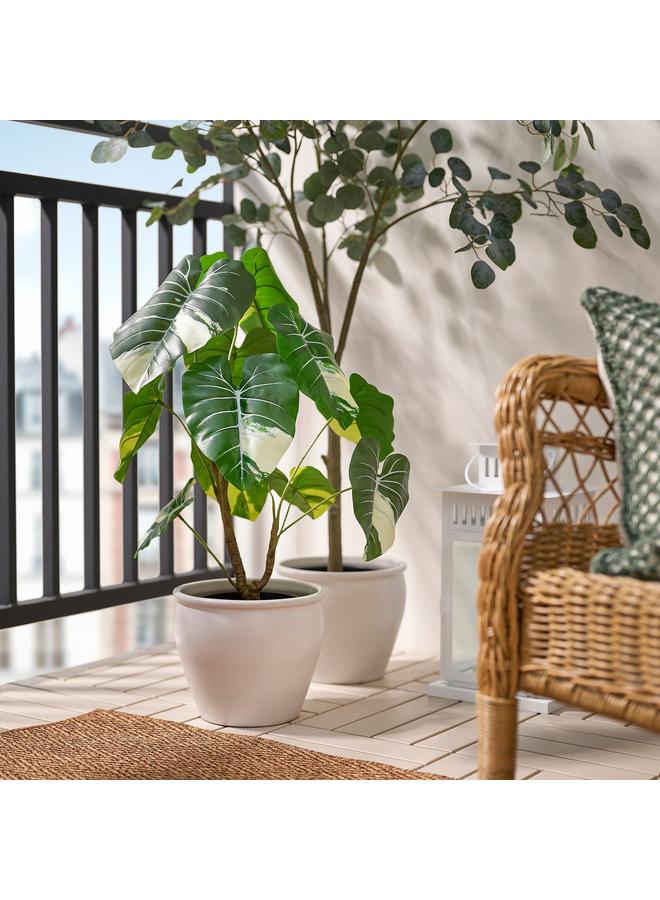 erorex Artificial Potted Plant, In/Outdoor Alocasia, 19 Cm - Image 3