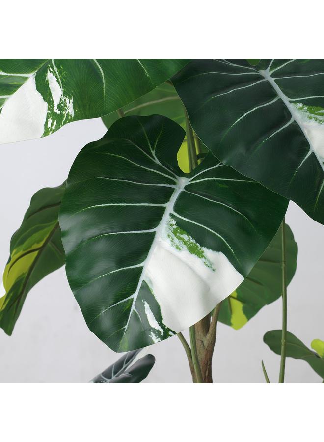 erorex Artificial Potted Plant, In/Outdoor Alocasia, 19 Cm - Image 4