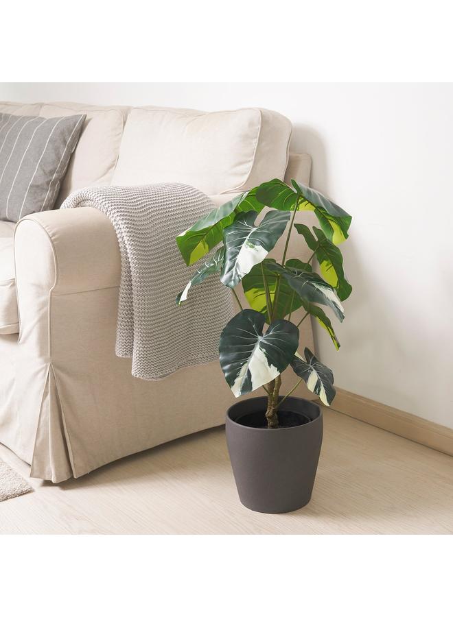 erorex Artificial Potted Plant, In/Outdoor Alocasia, 19 Cm - Image 2