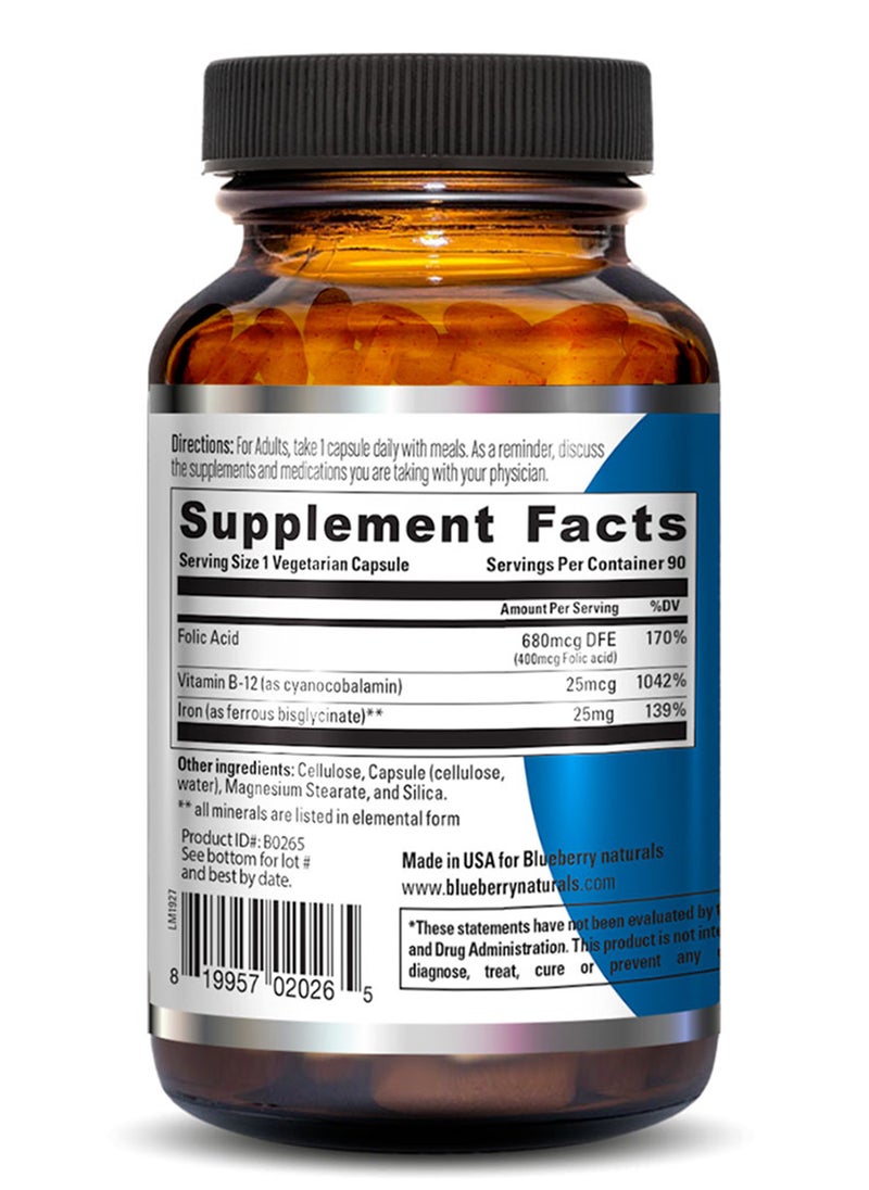 blueberry NATURALS - Naturals Easy Iron 25 Mg Vegetarian Capsules 90'S B0265 - Image 1