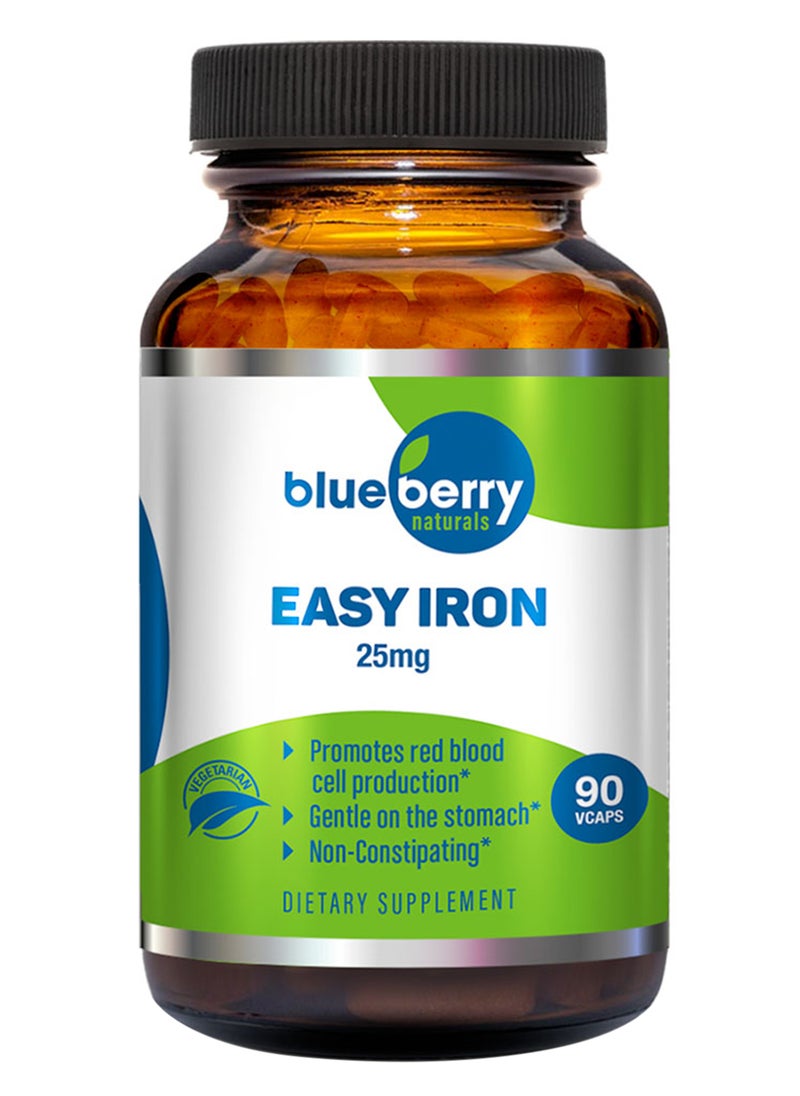 blueberry NATURALS - Naturals Easy Iron 25 Mg Vegetarian Capsules 90'S B0265 - Image 1