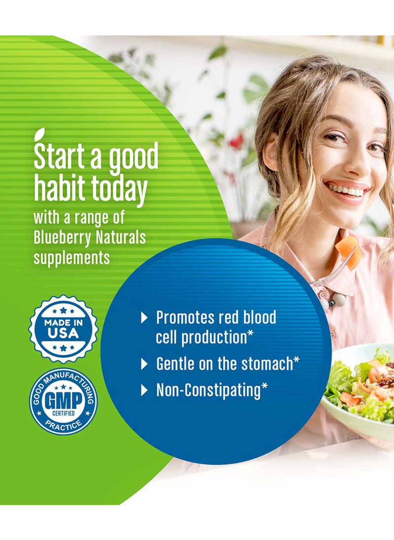 blueberry NATURALS - Naturals Easy Iron 25 Mg Vegetarian Capsules 90'S B0265 - Image 1
