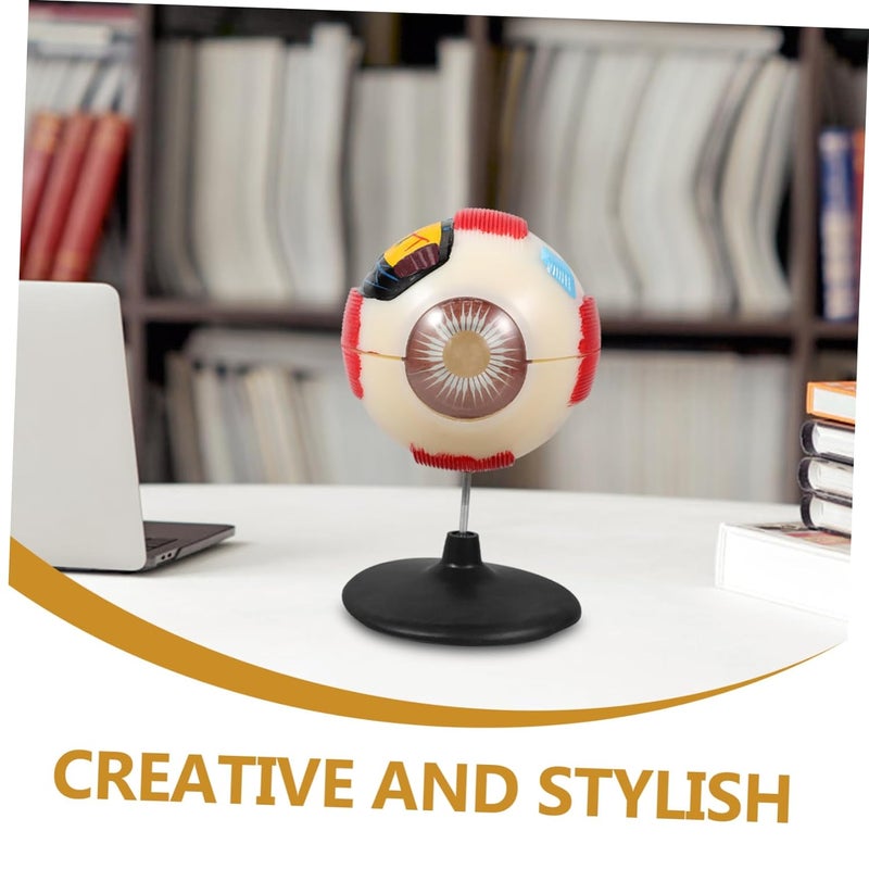 Eye Anatomical Model Enlarged Medical Eyeball Model for Teaching Display Detailed Eye Structure for Anatomy Study Colleges Clinics Educational Science Prop - Image 3