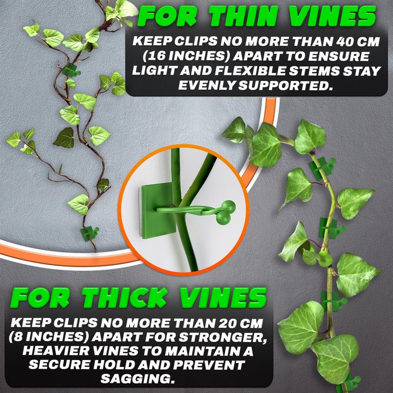 DIMROM Plant Wall Clips for Climbing Plants 110 Pcs - Pothos Plant Climber Support, Large, Medium, Small Sizes Wall Clips for Support, Strong Self-Adhesive, For Indoor Plants, Cable Management & Plant Holder - Image 4
