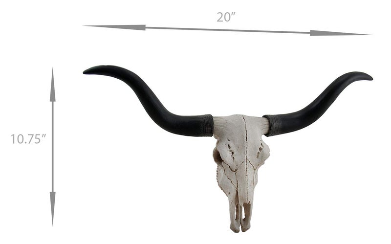 Zeckos Handcrafted 20-Inch Black & Bone Longhorn Trophy Skull Wall Sculpture - Realistic Faux Steer Head with Intricate Detailing, Southwestern and Western Home Decor - Image 4