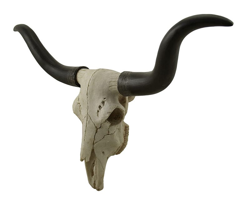 Zeckos Handcrafted 20-Inch Black & Bone Longhorn Trophy Skull Wall Sculpture - Realistic Faux Steer Head with Intricate Detailing, Southwestern and Western Home Decor - Image 2