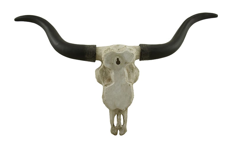 Zeckos Handcrafted 20-Inch Black & Bone Longhorn Trophy Skull Wall Sculpture - Realistic Faux Steer Head with Intricate Detailing, Southwestern and Western Home Decor - Image 3