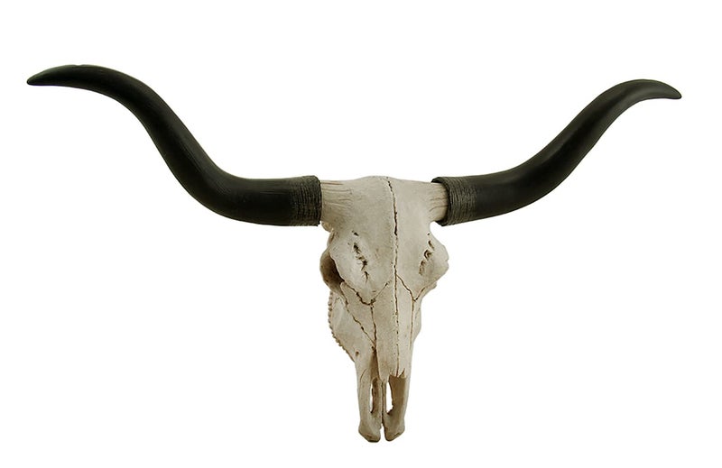 Zeckos Handcrafted 20-Inch Black & Bone Longhorn Trophy Skull Wall Sculpture - Realistic Faux Steer Head with Intricate Detailing, Southwestern and Western Home Decor - Image 1