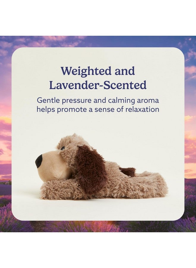 warmies Microwavable & Weighted Stuffed Animals, Brown Dog - Heated Stuffed Animal Plushie for Warmth & Comfort - Cute Soft Plush Toys for Adults & Children (Boys, Girls, Babies & Toddlers) - Image 3