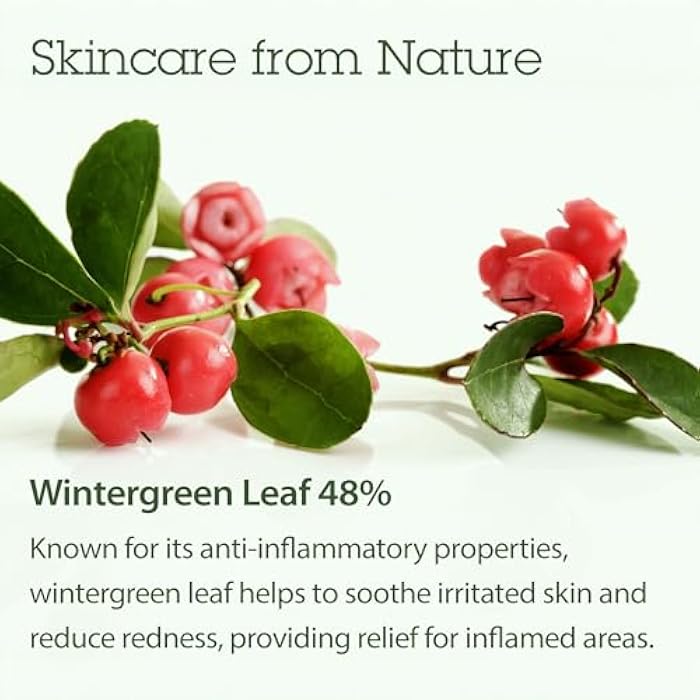 Blithe Korean Skin Care Products 6 Leaves Clear Essence for Rosacea & Redness Relief, BHA Toner Cooling Moisturizer for Face, Blackhead Treatment, Evening Primrose Wintergreen Green Tea 1.83 Oz - Image 4