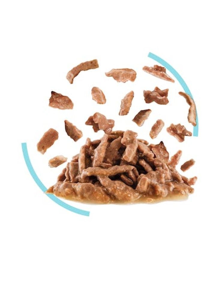 ROYAL CANIN Feline Health Nutrition Sensory Feel Gravy (WET FOOD - POUCHES) 12x85G - Image 2