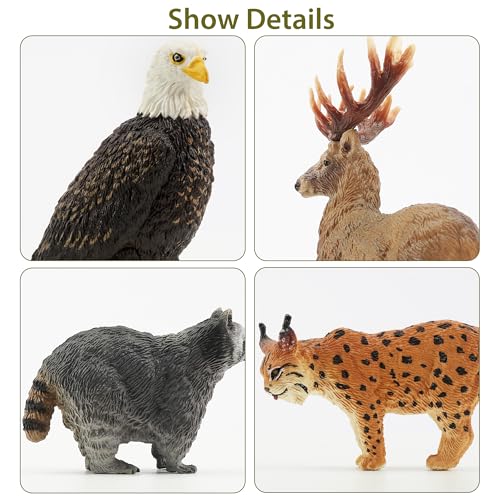 Toymany 12PCS North American Forest Animal Figurines, Realistic Jungle Animal Set Includes Moose,Cougar,Wolf,Bear,Eagle,Deer Educational Toy Cake Toppers Christmas Birthday Gift for Toddlers Kids 3-5 - Image 5