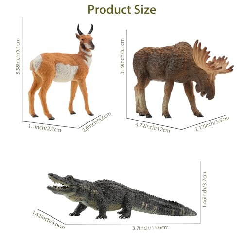 Toymany 12PCS North American Forest Animal Figurines, Realistic Jungle Animal Set Includes Moose,Cougar,Wolf,Bear,Eagle,Deer Educational Toy Cake Toppers Christmas Birthday Gift for Toddlers Kids 3-5 - Image 3