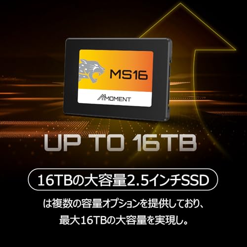 MMOMENT MS16 256GB 2.5 Inch SATA III 6 GB/s Internal Solid State Drive SSD (Read up to 550MB/s) Compatible with PC Desktop - Image 2