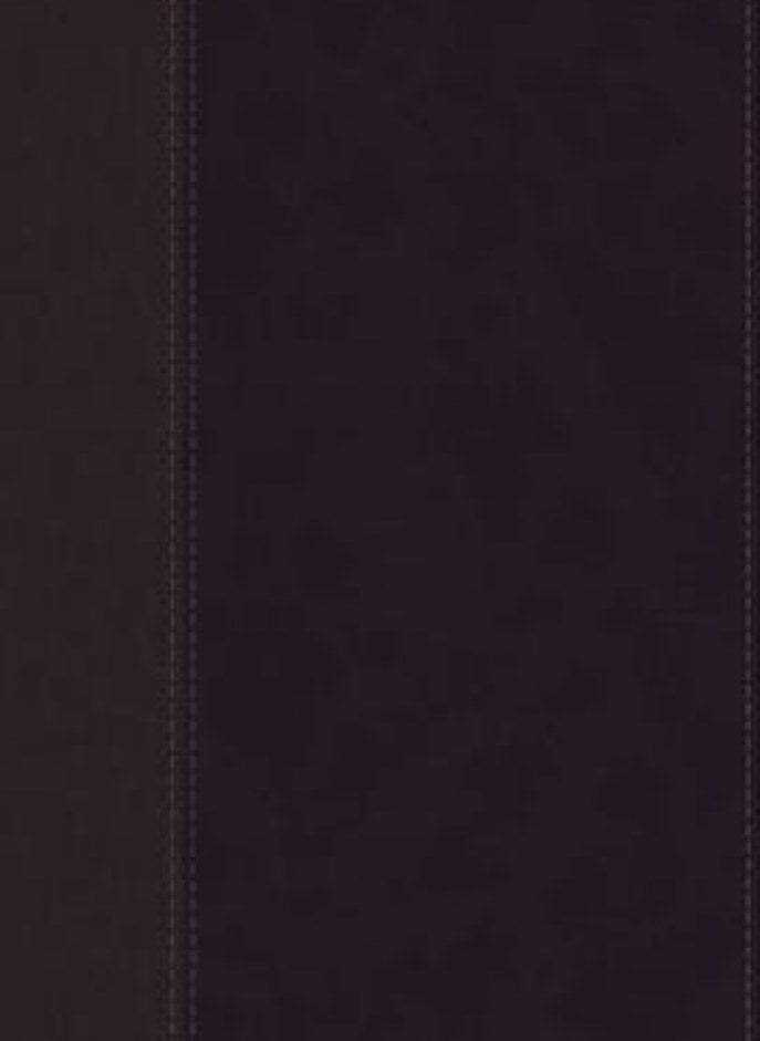 LP-NIV PERSONAL SIZE BIBLE