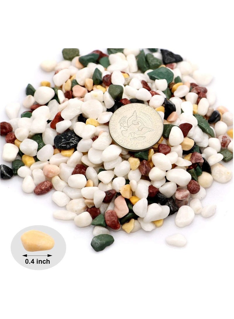 Home zone 2.2lbs (1 KG) Natural Decorative Pebbles Rocks Polished Terrarium Gravel White Stones with Red Green and Yellow Pastel Accents Mixed Colour Garden Accessories - Image 2