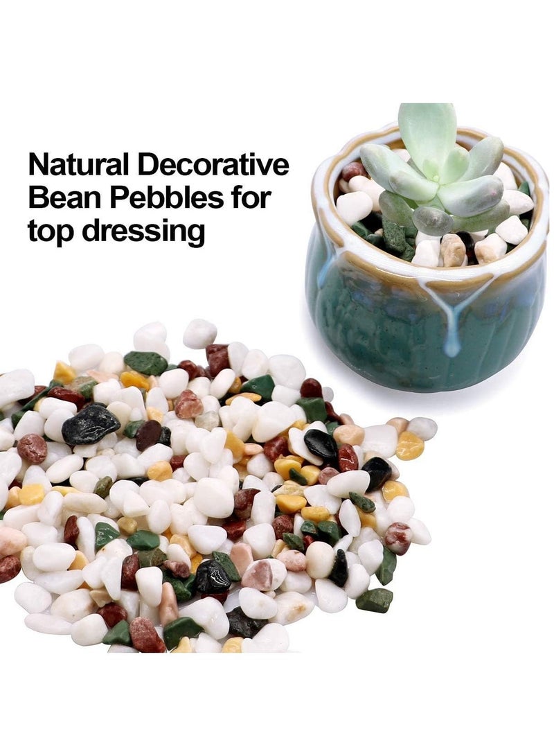 Home zone 2.2lbs (1 KG) Natural Decorative Pebbles Rocks Polished Terrarium Gravel White Stones with Red Green and Yellow Pastel Accents Mixed Colour Garden Accessories - Image 4