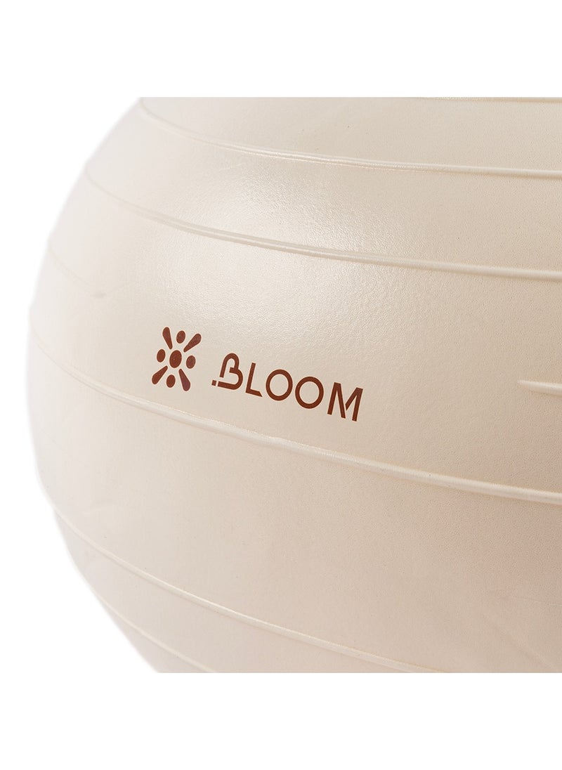 BLOOM Bloom Balance Ball  - Image 3