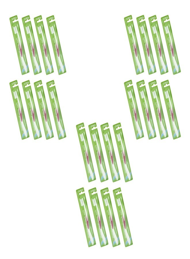 ICPA Thermoseal Ultrasoft Toothbrush (Pack Of 24), Manual, Adult, Multicolor - Image 1