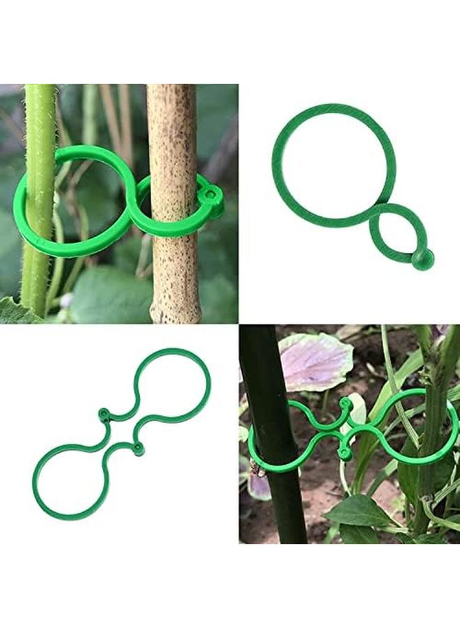 إكسفور مشابك دعم النبات 100 قطعة من مشابك دعم نباتات الحديقة ومشابك الطماطم ومشابك نباتية ومشابك زهرة كرمة الطماطم وأقفال النباتات لتأمين نباتات التسلق باللون الأخضر - Image 2