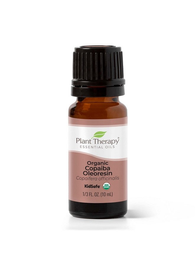 Plant Therapy Olio Essenziale Copaiba Organic 30ml | 100% Puro, Biologico, Antidolorifico Naturale Per Dolori Muscolari E Articolari, Aromaterapia
