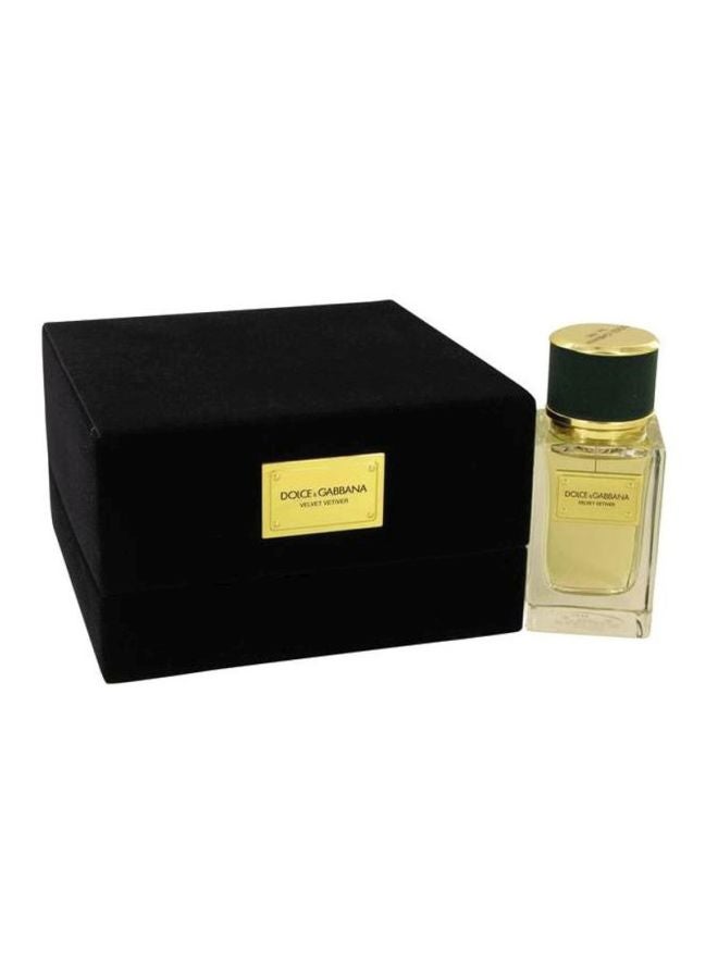 Dolce & Gabbana Velvet Vetiver EDP - Image 2