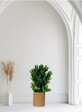 Artificial tree seedling, multi-colored, 10x25x35cm - pzsku/Z7ED3F9C49590BF566BEBZ/45/_/1724309761/075cee75-6680-4179-80af-61c979ab6cf7