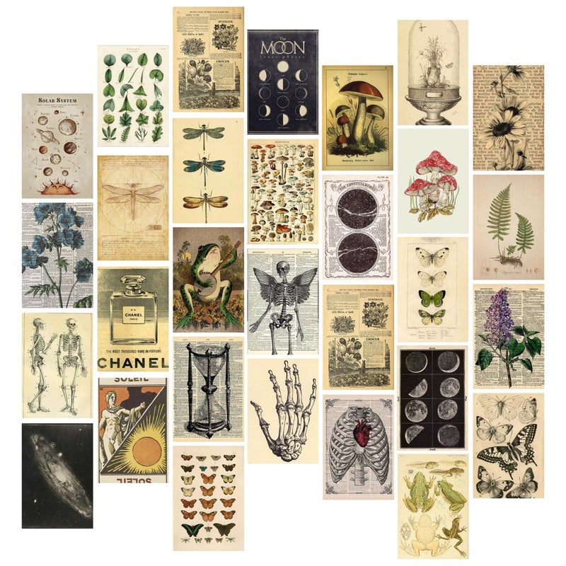 Kitty Cat Vintage Aesthetic Wall Collage Kit 30 Unique Poster Set Free Tape 4x6in Each Posters Dorm Bedroom Decor Hostel Essential Aesthetic Room Decor Vintage - Image 1