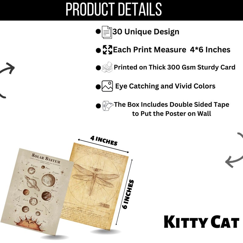Kitty Cat Vintage Aesthetic Wall Collage Kit 30 Unique Poster Set Free Tape 4x6in Each Posters Dorm Bedroom Decor Hostel Essential Aesthetic Room Decor Vintage - Image 2