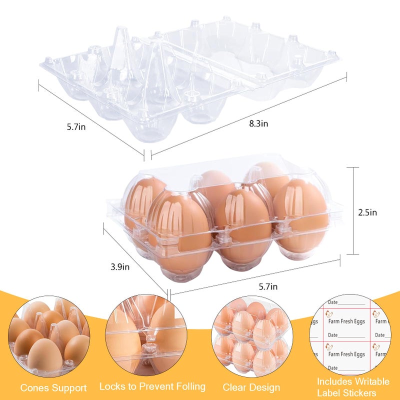 DealBeta Plastic Clear Egg Carton for 6 Eggs,12Pack Egg Tray Reusable Medium Size Egg Cartons Perfect for Egg Trader Market Farmers Display Farmer Camping Picnic Travel Storage-Holds Medium 6Eggs Securely - Image 2