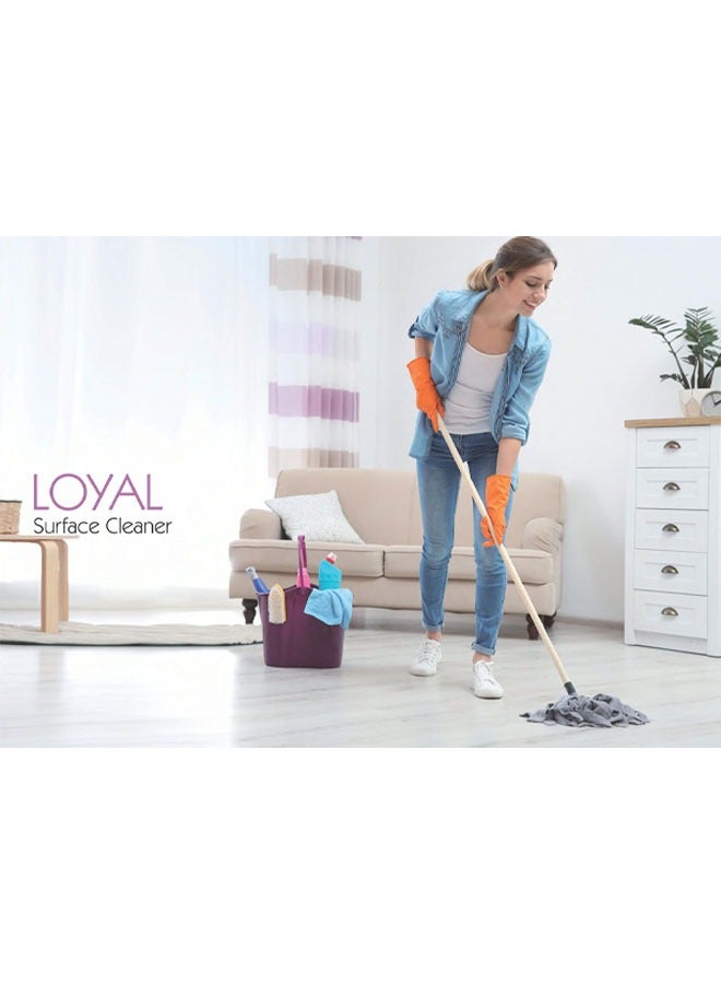 loyal Surface Cleaner Liquid/Seaside Breeze Blue 3x800ml  - Image 4