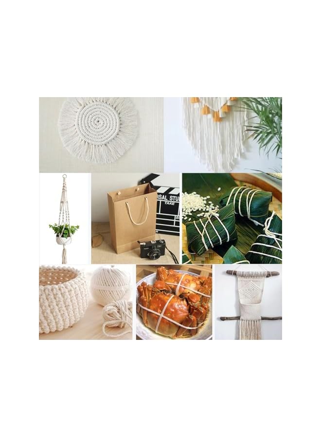 100 M Cooking Twine, Natural White Twine String, Kitchen Twine, Garden String for Gift Wrapping, DIY Scarves, Jewelry and other Crafts, Christmas Decorations Macrame Cord (Beige, 100m)