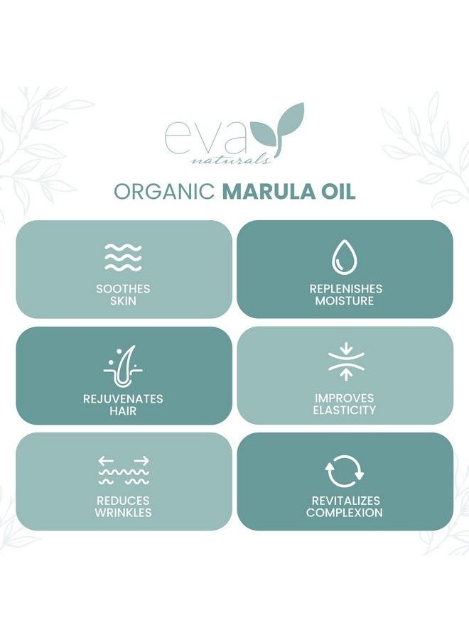 Eva Naturals Organic Marula Oil For Face And Hair 100% Virgin Moisturizing Beauty Oil Cold Pressed Natural Antiaging Formula Nongreasy Unrefined Rich In Omegas & Antioxidants 2Oz.  - Image 4