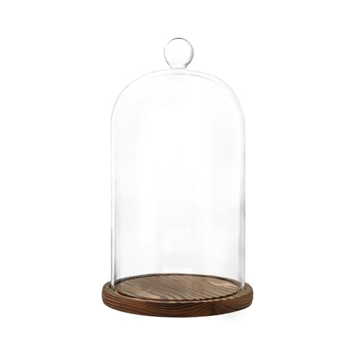 REFSAVER Glass Dome with Base,Glass Cloche Bell Jar,Display Case with Wooden Base for Plants,Collectibles (5.91 * 9.84 inches) - Image 1