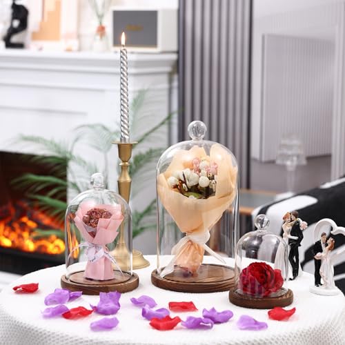 REFSAVER Glass Dome with Base,Glass Cloche Bell Jar,Display Case with Wooden Base for Plants,Collectibles (5.91 * 9.84 inches) - Image 2