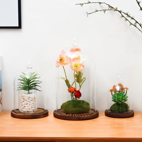 REFSAVER Glass Dome with Base,Glass Cloche Bell Jar,Display Case with Wooden Base for Plants,Collectibles (5.91 * 9.84 inches) - Image 5