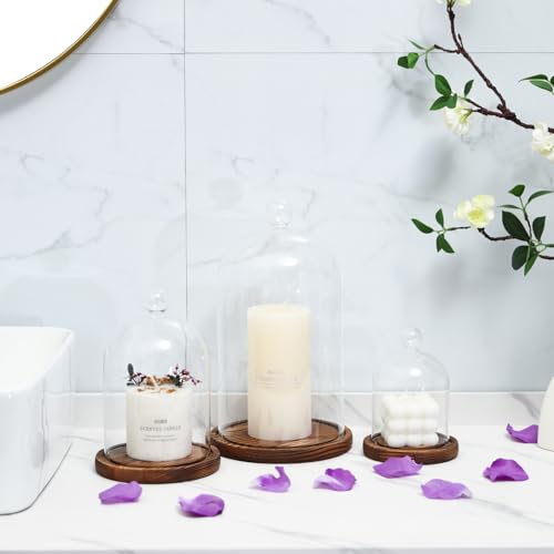 REFSAVER Glass Dome with Base,Glass Cloche Bell Jar,Display Case with Wooden Base for Plants,Collectibles (5.91 * 9.84 inches) - Image 4