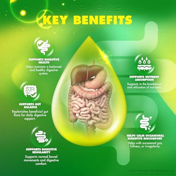 NutraRize (2 Pack) GI Revitalize - GI Revitalize Pro Pills to Support Healthy Digestion, GI Revitalized Advanced Formula for Gut Health, G I Revitalizer Maximum Strength Supplement Review (120 Capsules) - Image 4