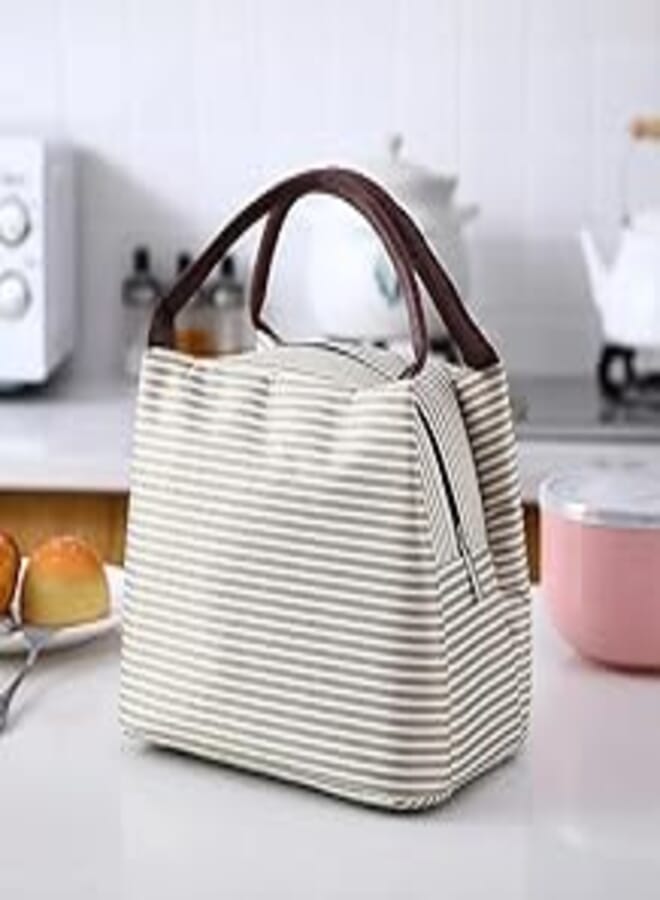 Lunch Box Bag for Men and Women, Lunch Bags Reusable Insulated, Leakproof Thermal cooler bag Office, Bento box bag for School, College, Beach, Picnic, Fishing, Hiking Travel (Stripe begin)