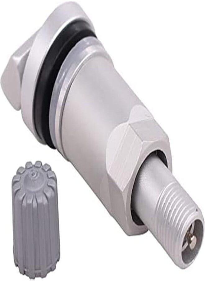 Generic - Tire Sensor Valve Stem Replacement - Image 1